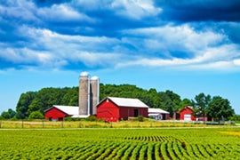 Agribusiness